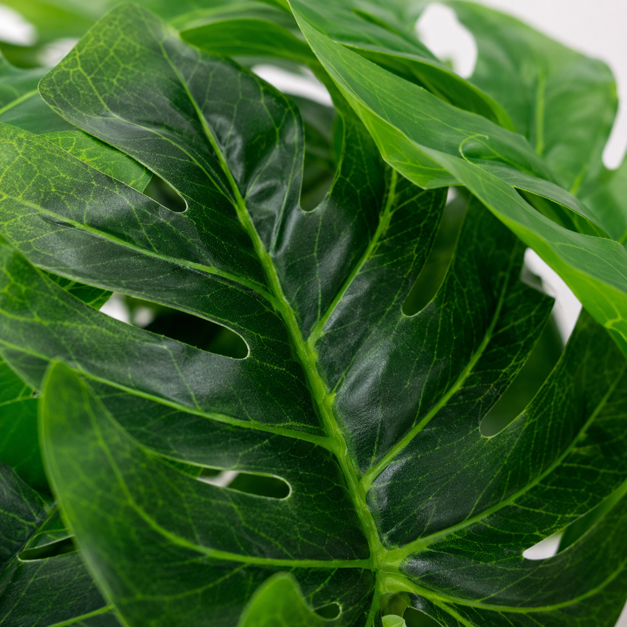 Artificial Monstera Plant in Decorative Pot | Luxury Indoor Tabletop Plant | Premium Home & Office Décor